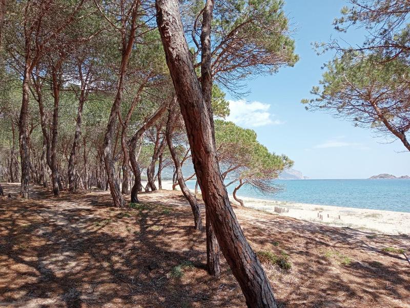 Locanda D'Ogliastra image