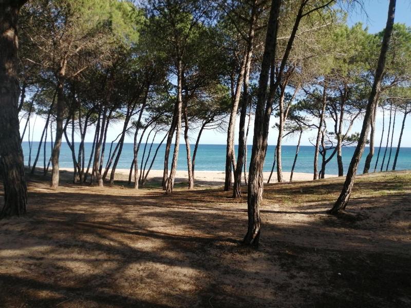 Locanda D'Ogliastra image
