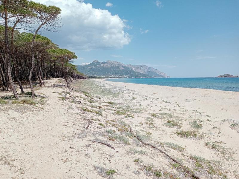Locanda D'Ogliastra image