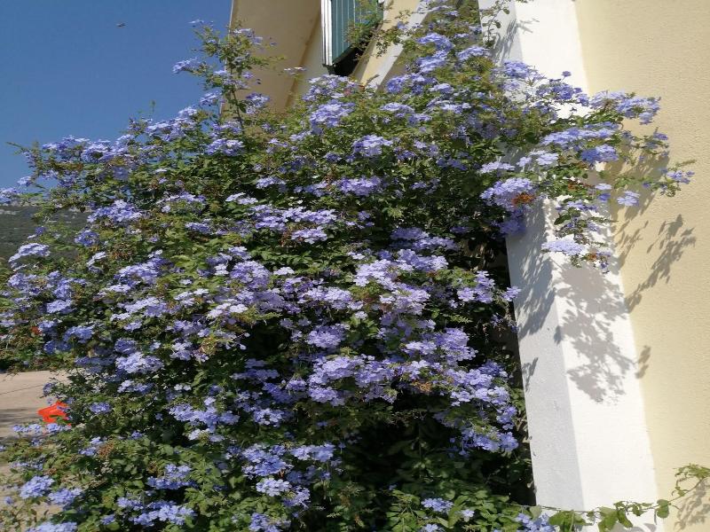 Locanda D'Ogliastra image