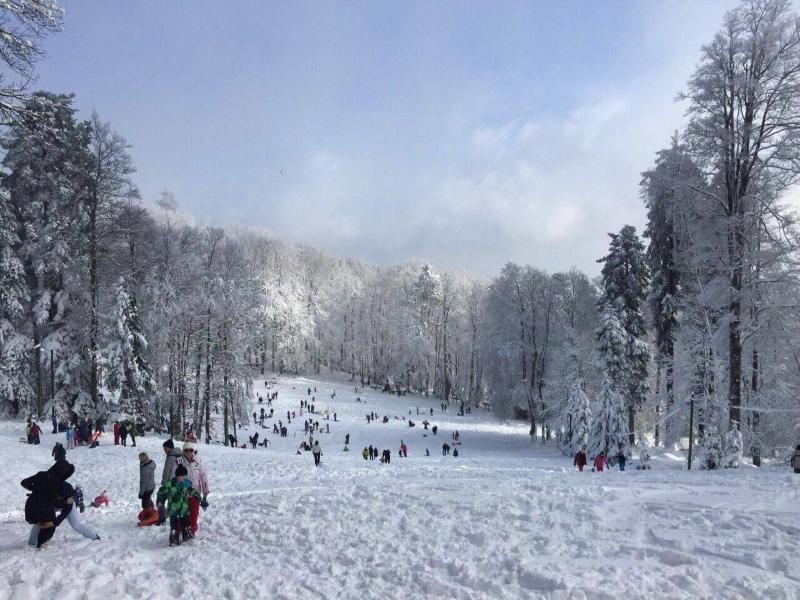 Turisticki Apartmani Snjezna Kraljica image