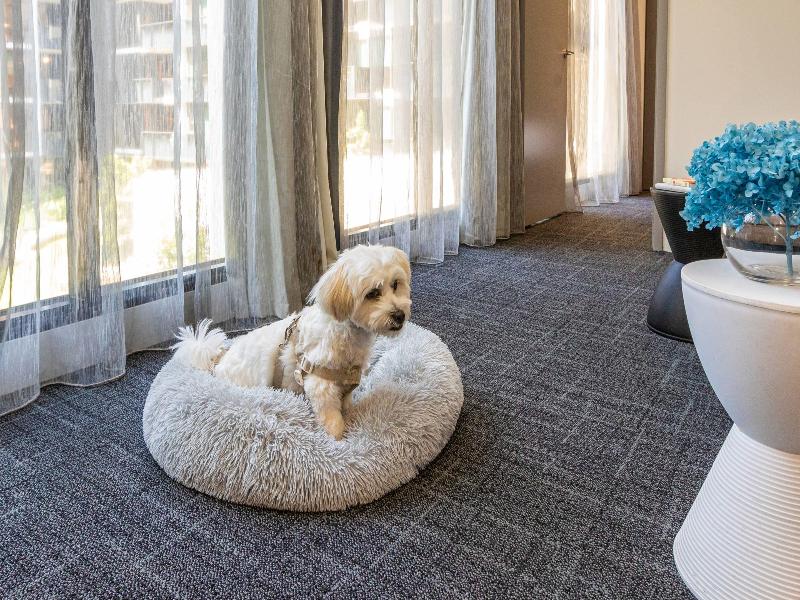 MainStay Suites Abbotsford image