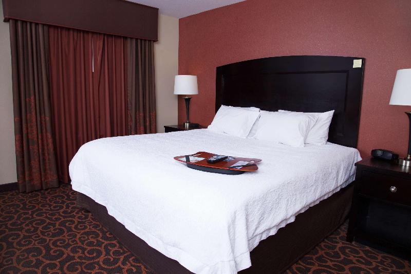 Hampton Inn & Suites Dickinson image