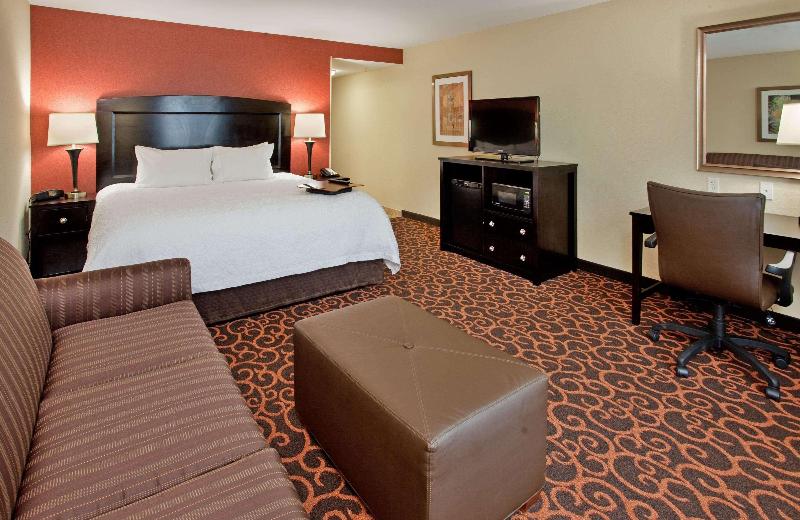 Hampton Inn & Suites Dickinson image
