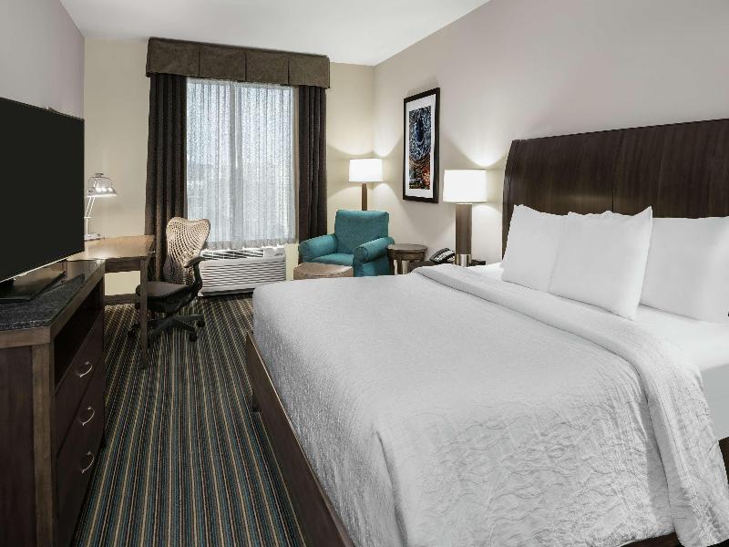 Hilton Garden Inn San Antonio At The Rim image