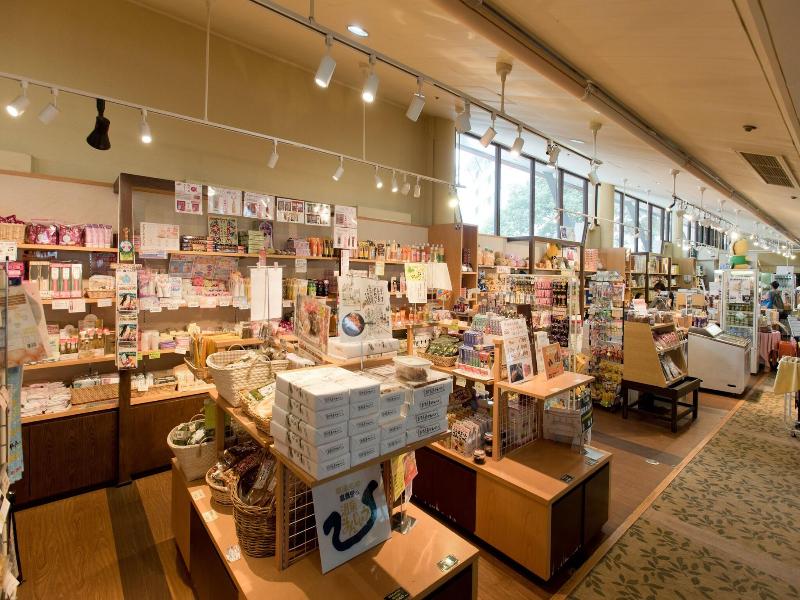 Kusatsu Onsen Hotel Village image