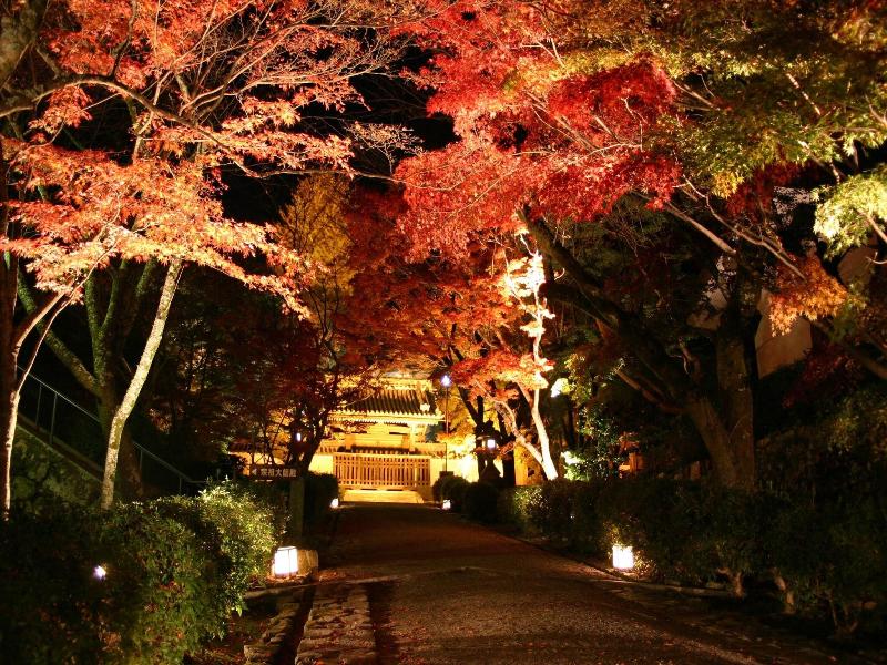 Biwako Ryokusuitei image