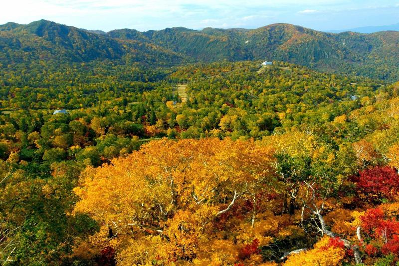Sheraton Hokkaido Kiroro Resort image