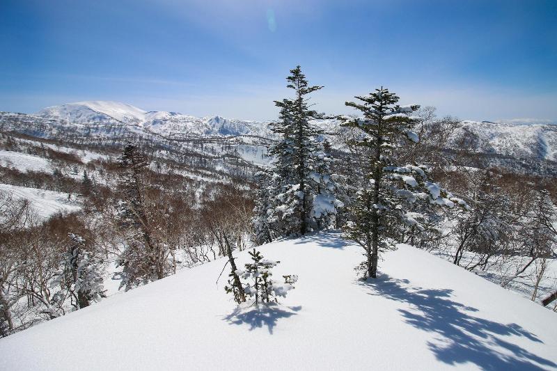 Sheraton Hokkaido Kiroro Resort image