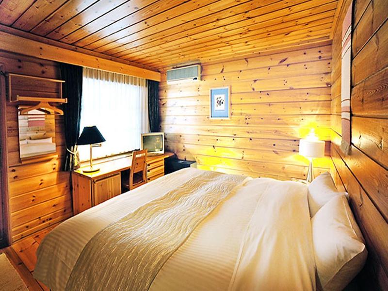 Hotel Nidom image