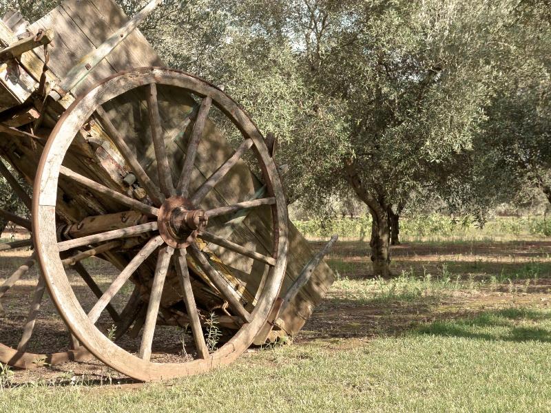 Hotel Masseria Chicco Rizzo image