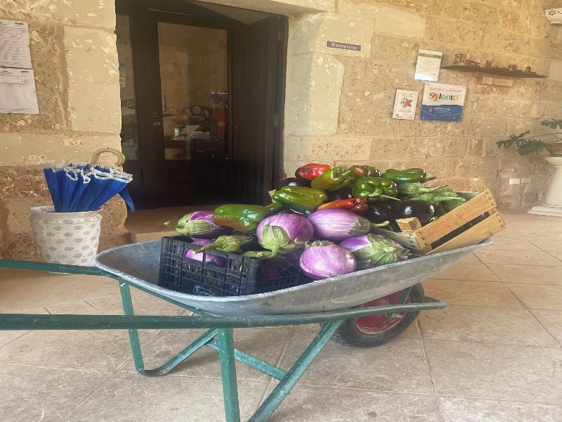 Hotel Masseria Chicco Rizzo image