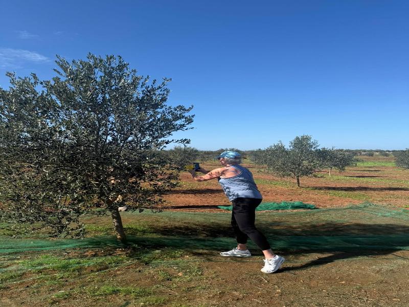 Hotel Masseria Chicco Rizzo image