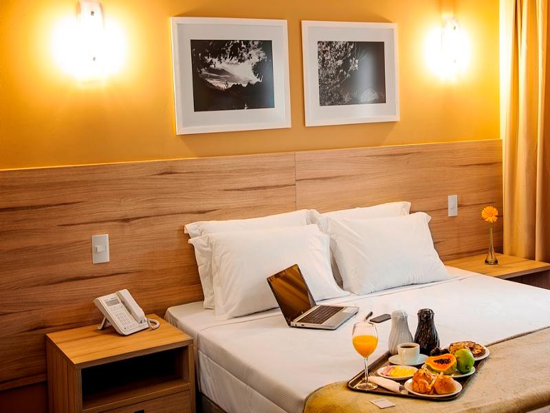Intercity Hotel Teresopolis image