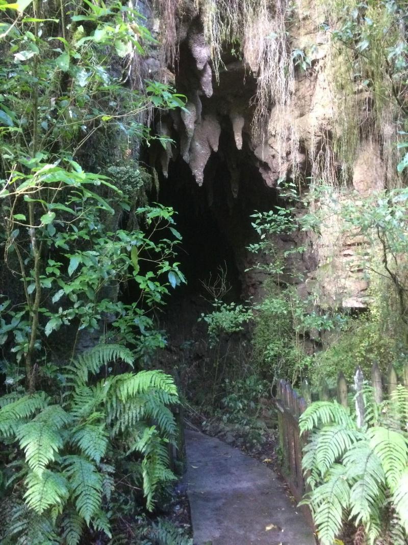 Waitomo Caves Guest Lodge image