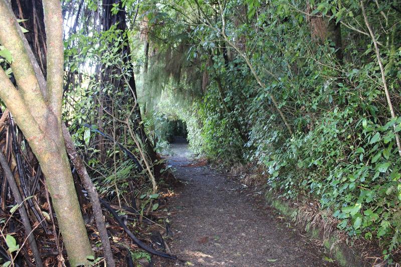 Waitomo Caves Guest Lodge image