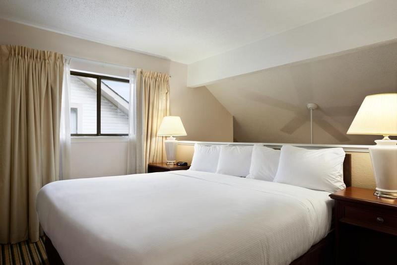 ホーソーン スイーツ バイ ウィンダム トロイ ミシガン