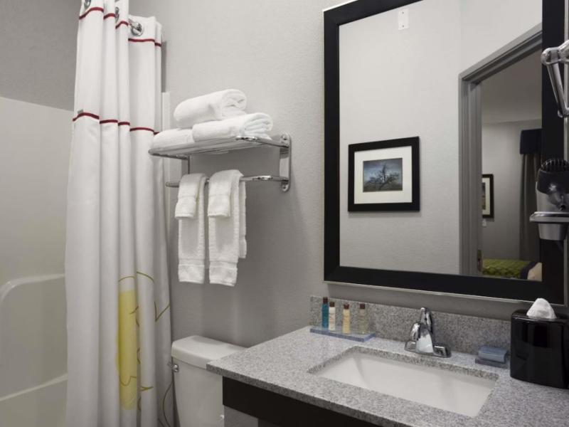 Hawthorn Suites By Wyndham San Angelo image