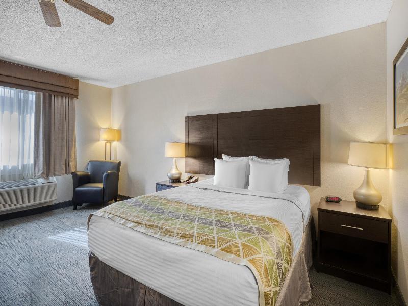 Room KING SIZE BED — photo 4