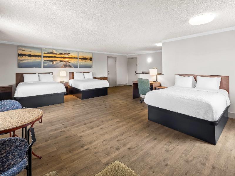 SUITE STANDARD — photo 4