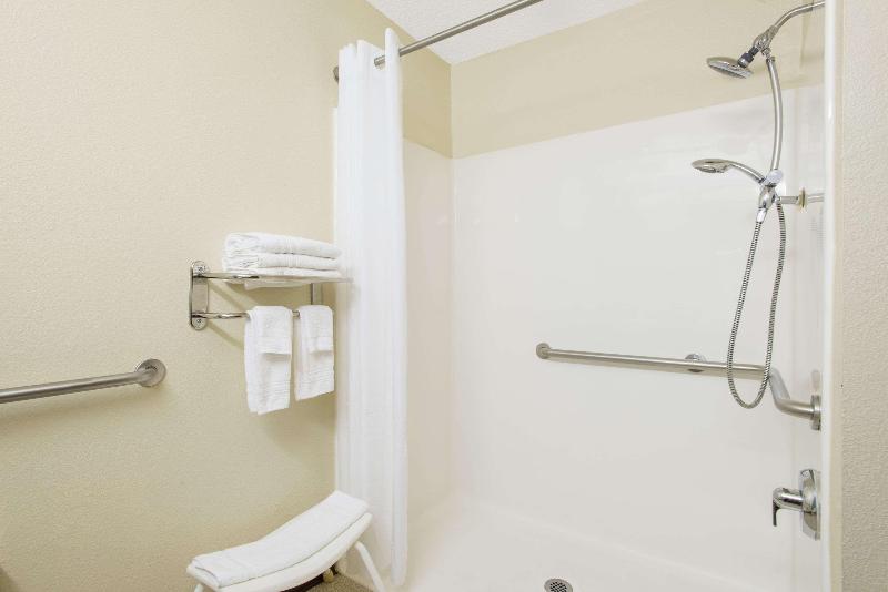 Microtel Inn & Suites By Wyndham Seneca Falls image