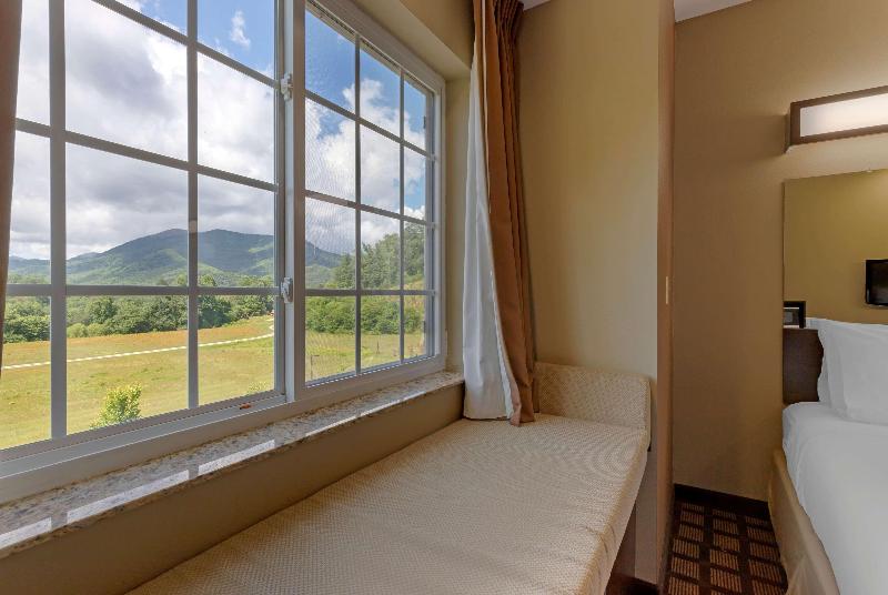 Microtel Inn & Suites By Wyndham Sylva Dillsboro image