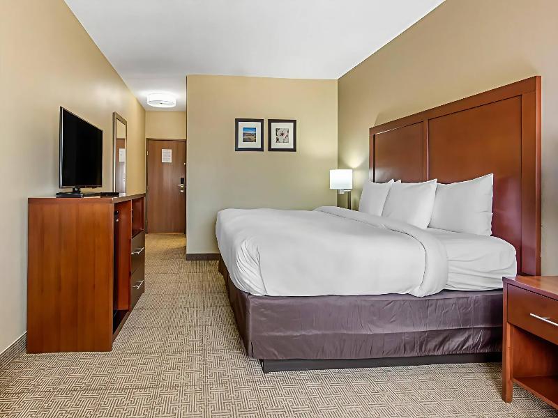 Comfort Inn & Suites Mccomb image