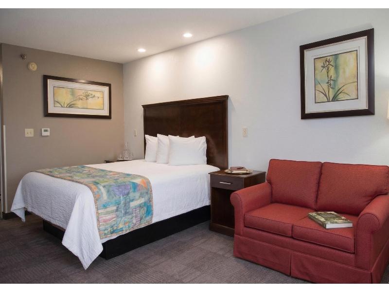 QUADRUPLE CAPACITY 4 ONE BEDROOM — photo 4
