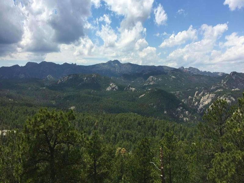 Magnuson Grand Rushmore View image