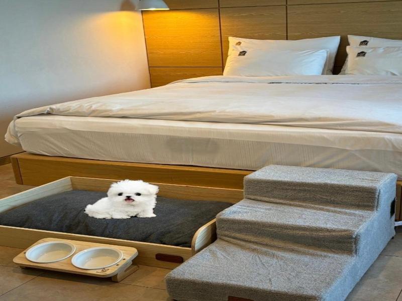 Benikea The Bliss Hotel image