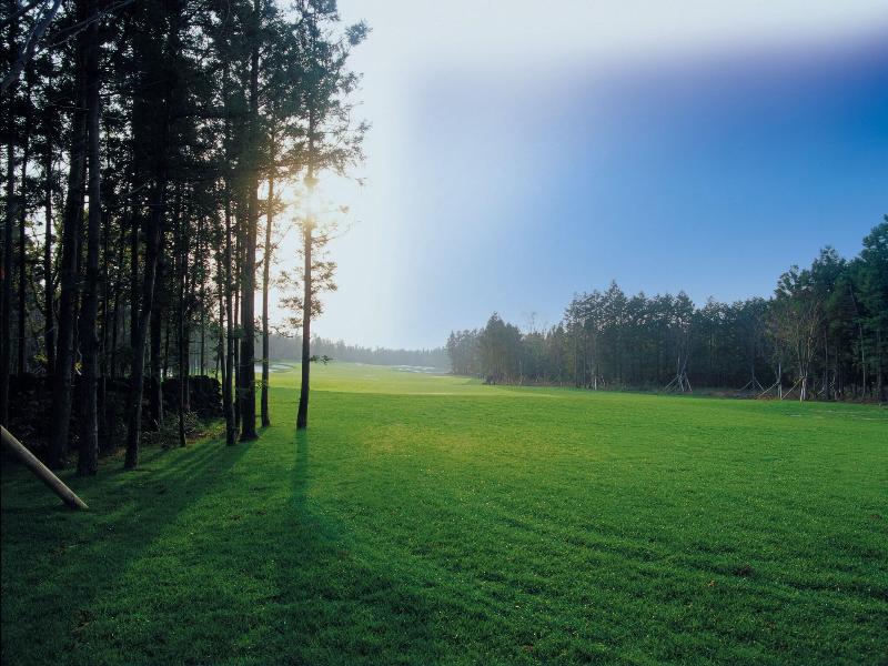 Lotte Resort Jeju Art Villas — photo 10