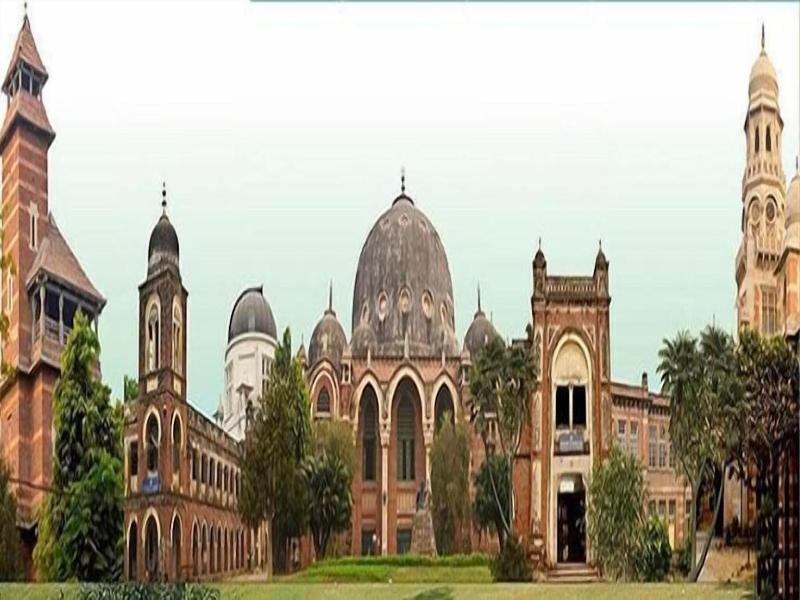 The Oasis Hotel image