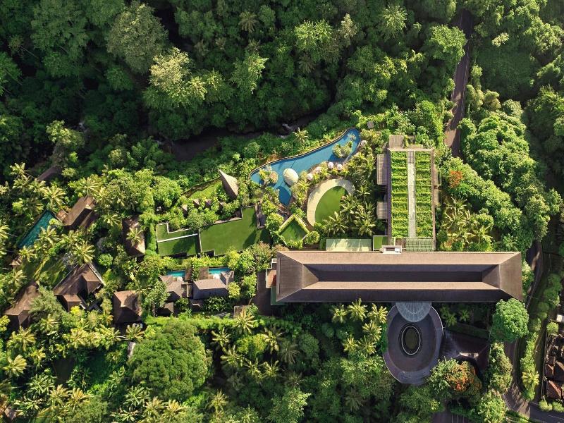 The Westin Ubud Resort & Spa image