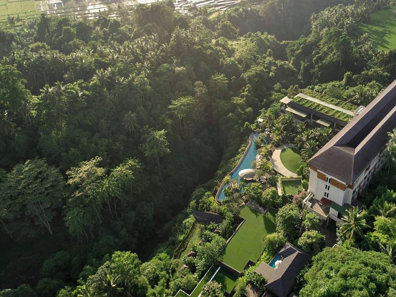 The Westin Ubud Resort & Spa image