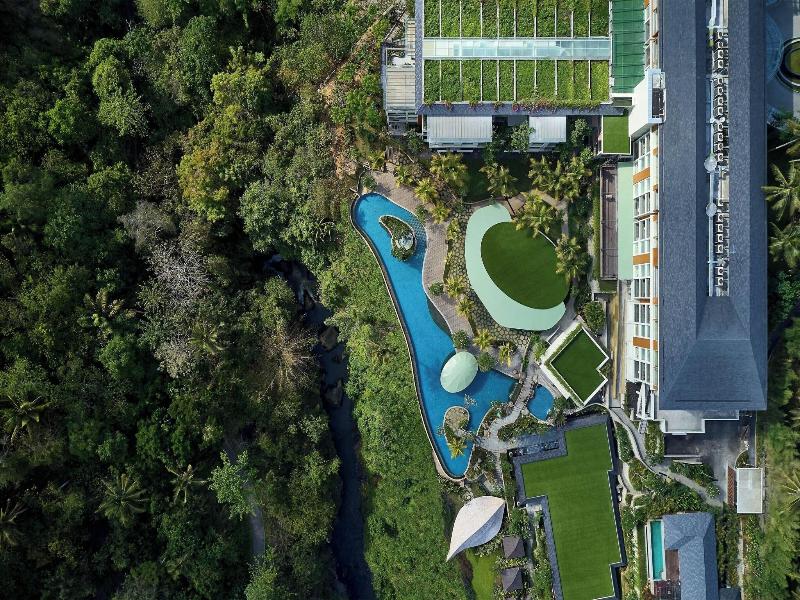 The Westin Ubud Resort & Spa image