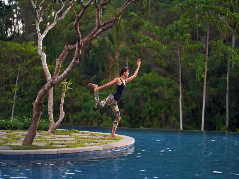 The Westin Ubud Resort & Spa image