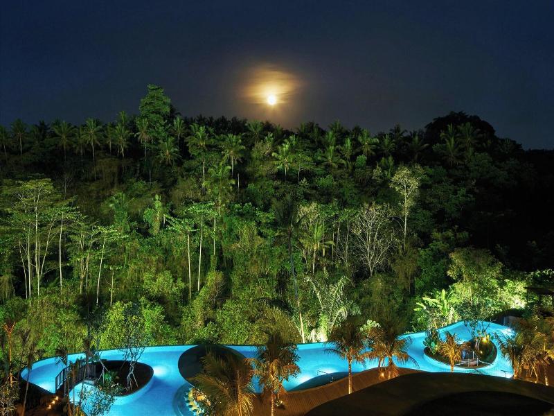 The Westin Ubud Resort & Spa image