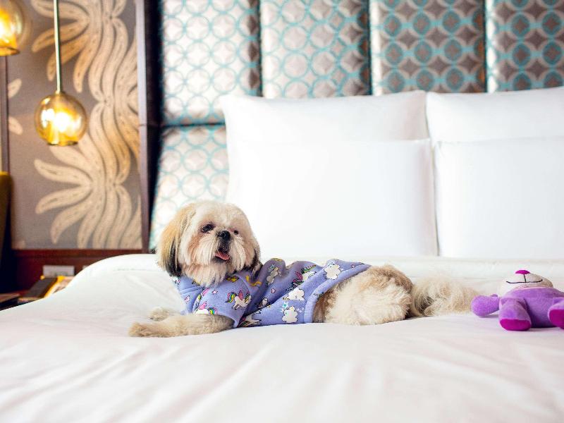 Pullman New Delhi Aerocity image
