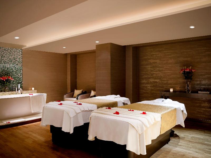 Pullman New Delhi Aerocity image