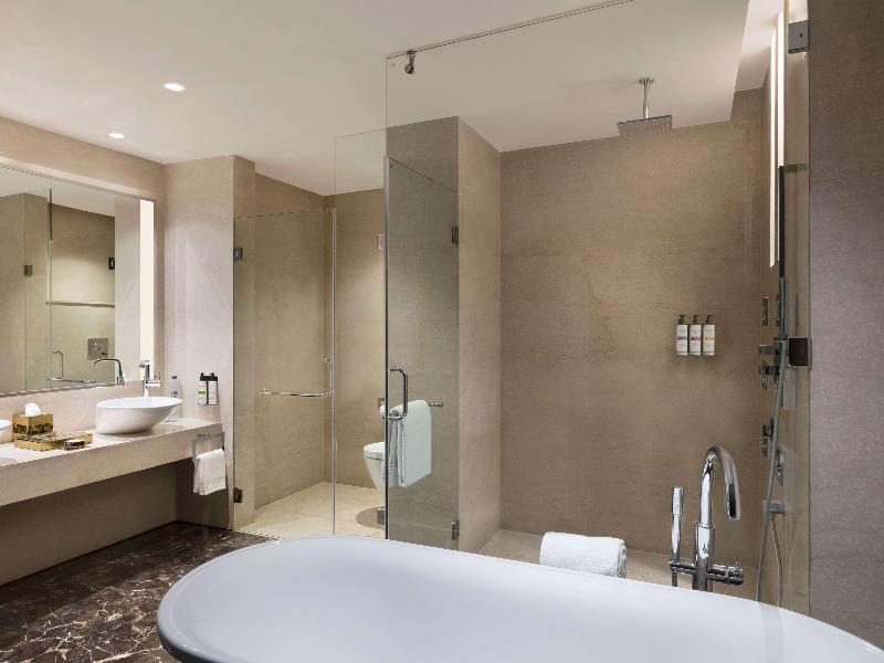 Pullman New Delhi Aerocity image