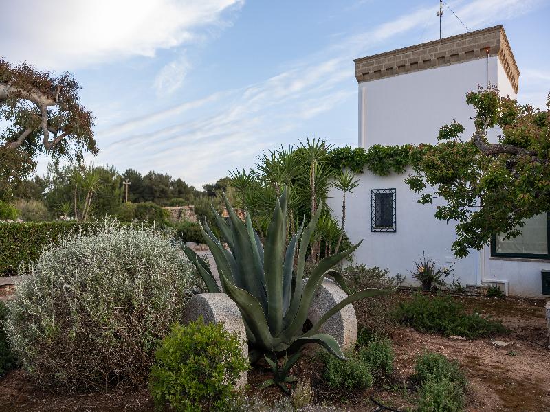 Masseria Tenuta Specolizzi image