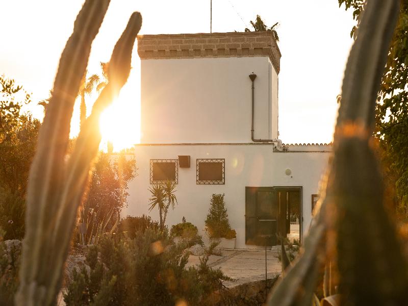 Masseria Tenuta Specolizzi image