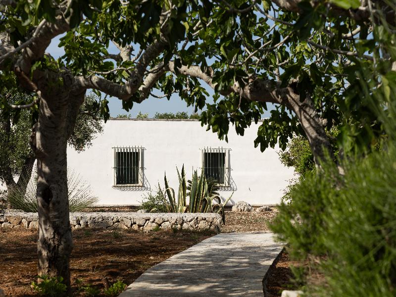 Masseria Tenuta Specolizzi image