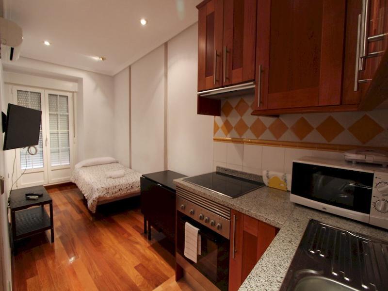 Apartamentos Good Stay Atocha — view