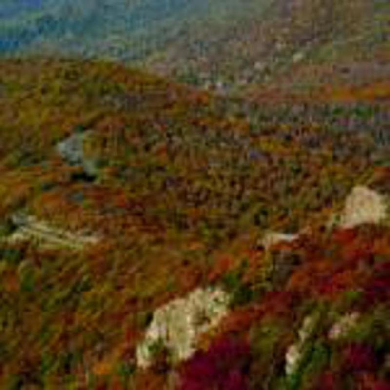 Skyland Resort image