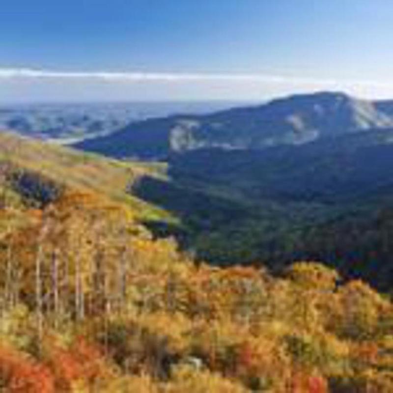Skyland Resort image