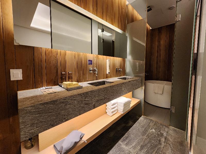 Sotetsu Hotels The Splaisir Seoul Myeong-Dong image
