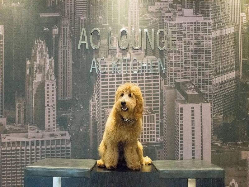 AC Hotel Chicago Downtown image