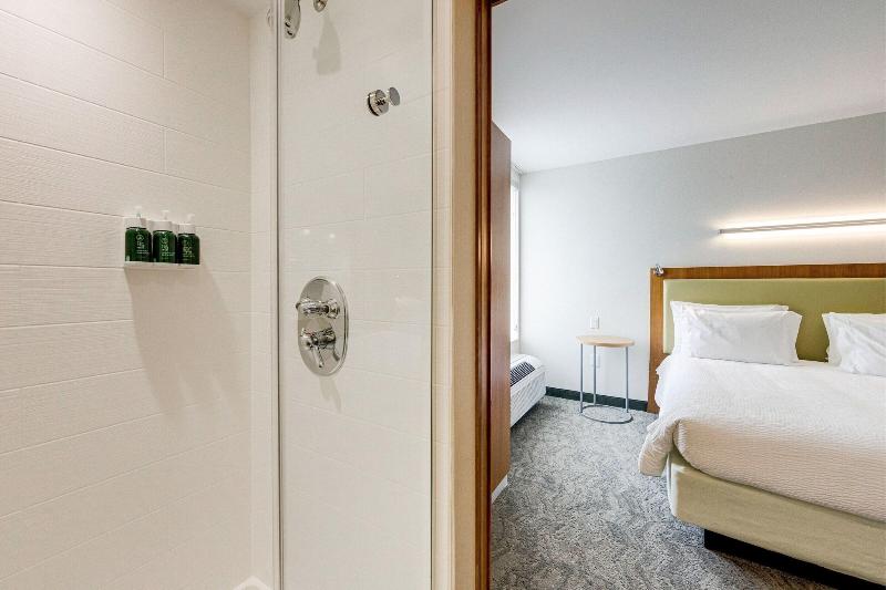 Springhill Suites Houston The Woodlands image
