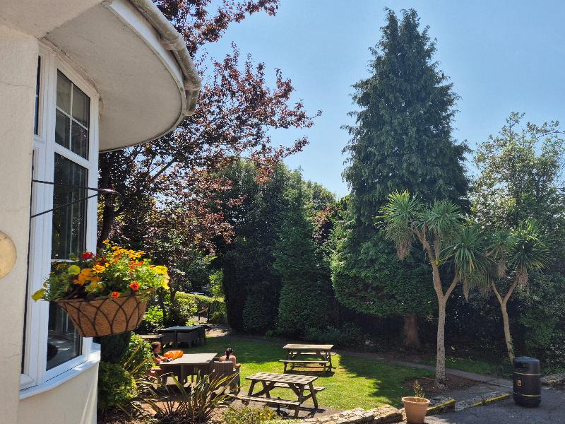 The Trecarn Hotel image